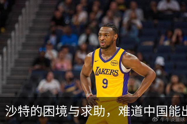 沙特的困境与求助，难道中国能出手相救？